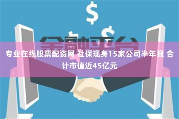 专业在线股票配资网 社保现身15家公司半年报 合计市值近45亿元