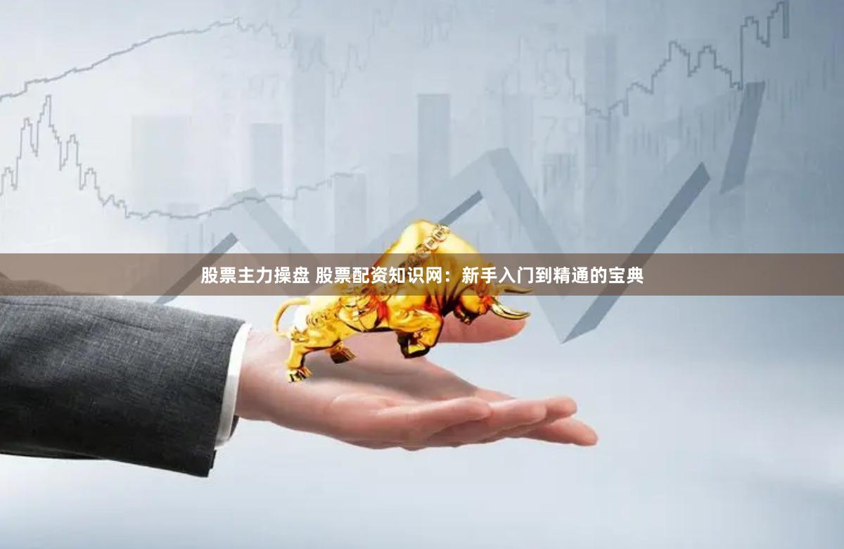 股票主力操盘 股票配资知识网：新手入门到精通的宝典